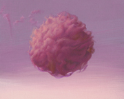 FLY BY NIGHT thumbnail