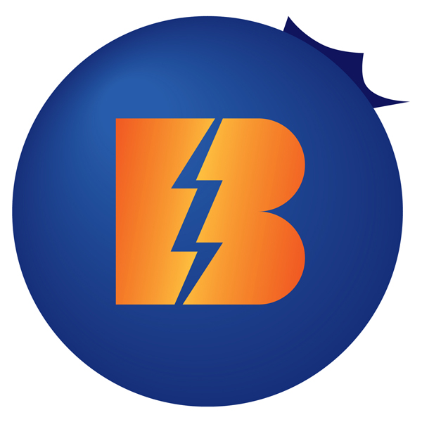 Blueberry Logo