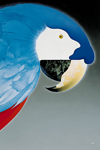 MACAW poster Illustration by Mark Smollin